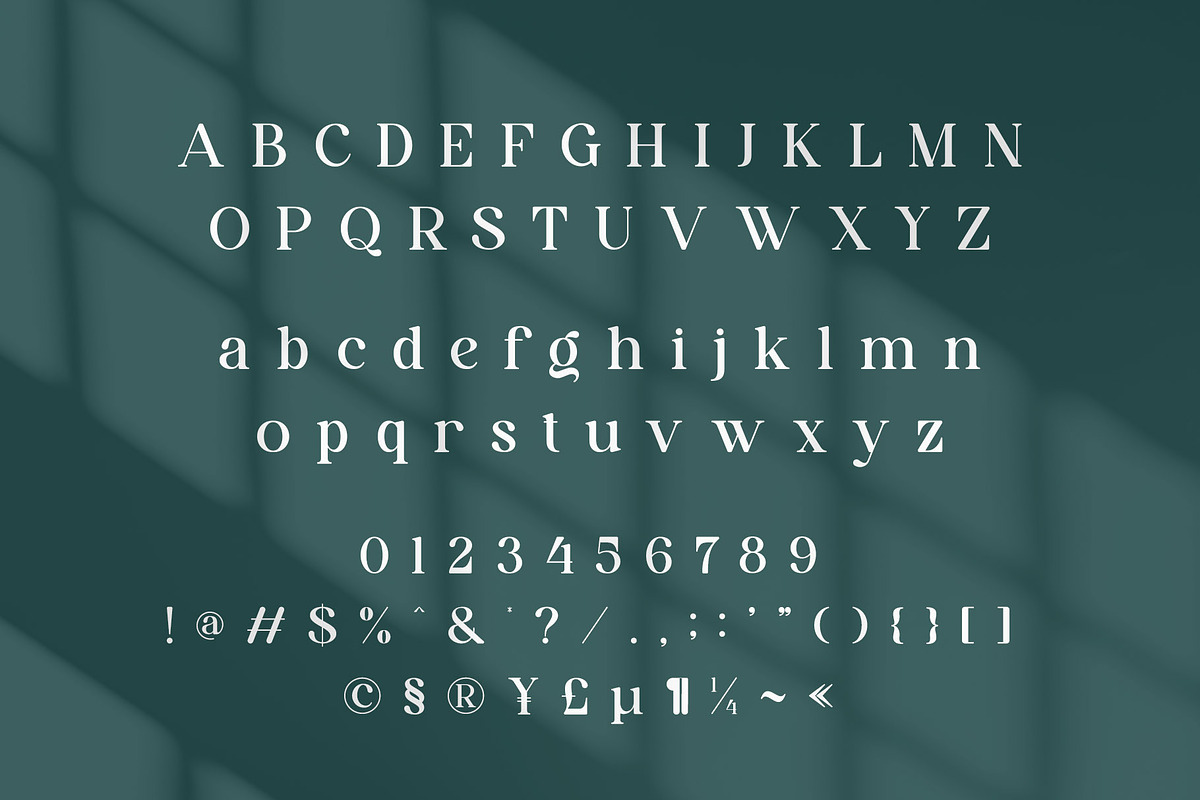 Avillia - Elegant Serif Font, a Serif Font by Aqeel_Art (Photo 9 of 10)