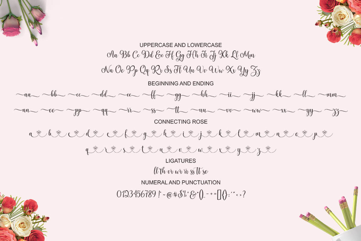 Pretty Heart, a Script Font by Suza Studio (Photo 8 of 8)