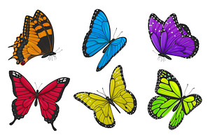 Set Of Colorful Butterflies. Vector