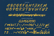 Goland Button Modern Brush Font, a Script Font by stylishtype.co (Thumbnail 17 of 20)