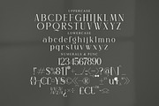 Sagire Modern Serif Font, a Serif Font by Storytype Studio (Thumbnail 13 of 15)