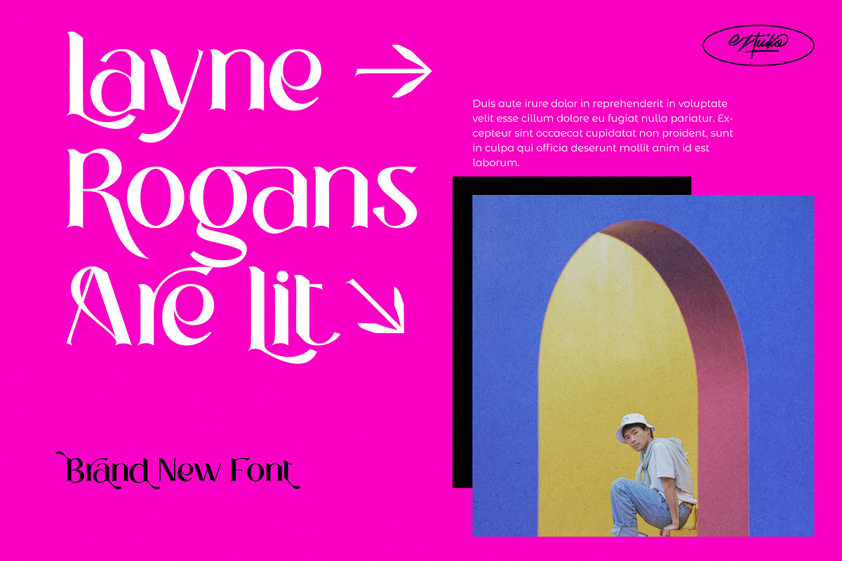 Layne Rogan - Display Font, a Font by Eztudio (Photo 2 of 14)