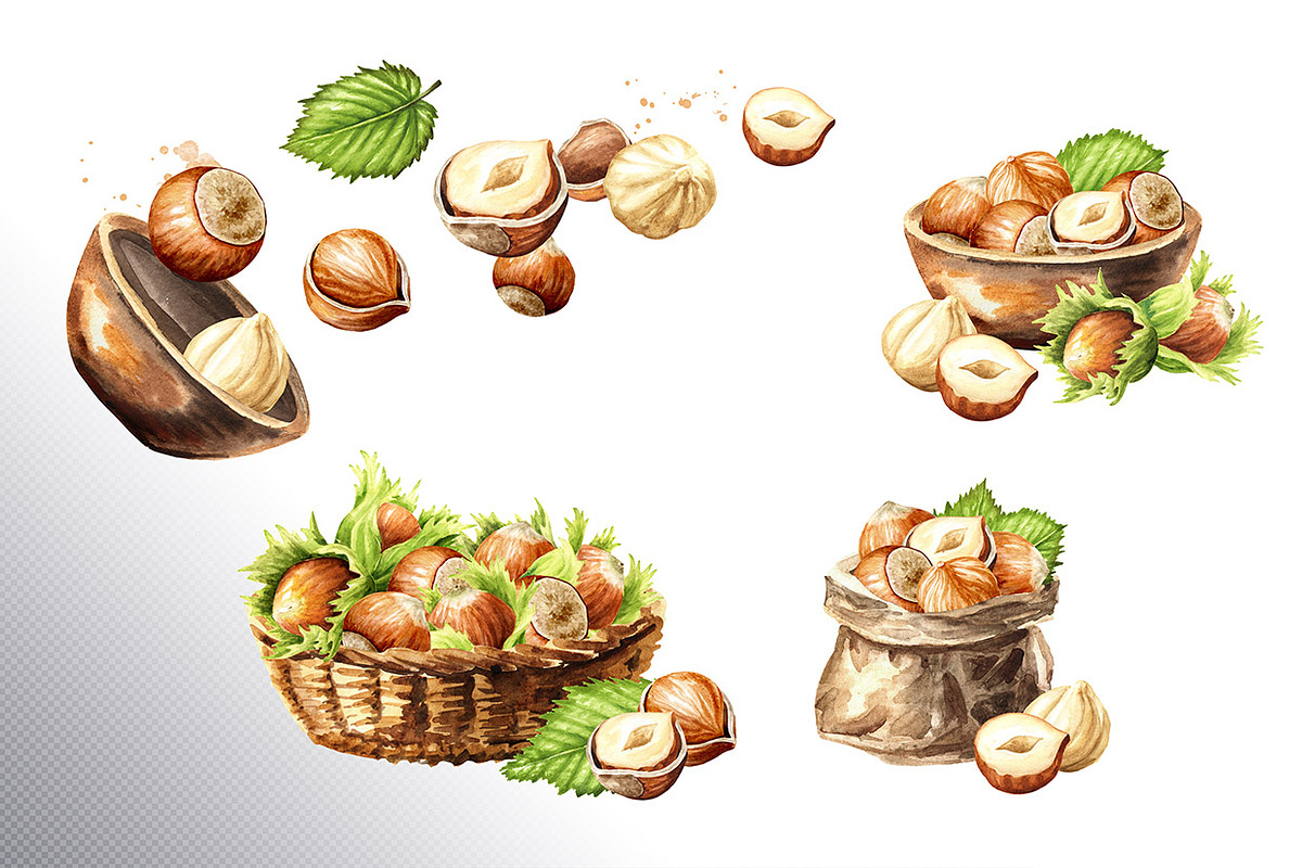 Huzelnuts. Watercolor collection, a Food Illustration by Daria Ustiugova (Photo 12 of 23)