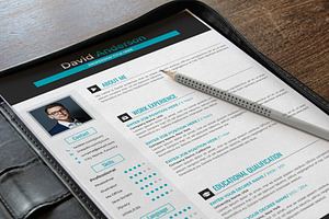 Professional Resume Cv Word Pages