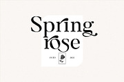 Molagane | Fancy Serif Typeface, a Serif Font by Qaratype (Thumbnail 18 of 26)