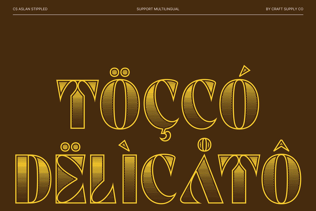 CS Aslan Stippled, a Sans Serif Font by Craft Supply Co. (Photo 7 of 8)
