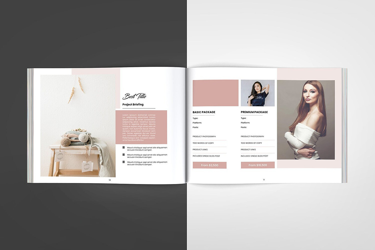 Media Kit Template InDesign & Canva, a Brochure Template by Template Shop (Photo 8 of 10)