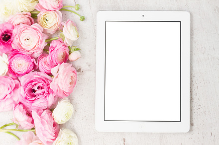 Pink and white ranunculus flowers featuring flowers, background, and floral, a Business Photo by Neirfy
