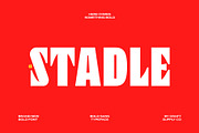 CS Stadle – Bold Sans Serif, a Sans Serif Font by Craft Supply Co. (Thumbnail 1 of 8)