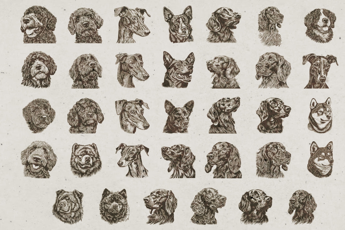 Dog Breeds Portrait Illustrations, an Animal Illustration by Nocturnal Wolf (Photo 11 of 12)