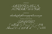 Sandoria Dawnvale Script Font, a Script Font by Denustudios (Thumbnail 11 of 13)
