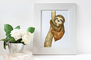 Sloth. Watercolor Clipart.