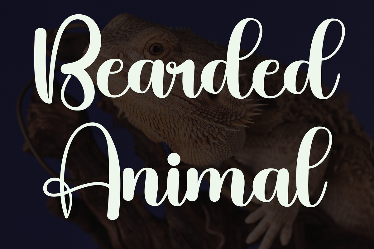 Beardy, a Handwritten Font by FreshTypeINK (Photo 8 of 8)