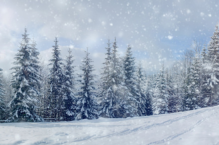 Beautiful winter landscape with snow covered trees, a Nature Photo by Byrdyak