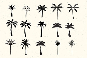 50 Palm Tree Vector Logos & Icons