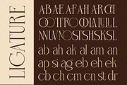 Charnoir - Modern Elegant Luxury, a Serif Font by Qweera Studio (Thumbnail 8 of 12)