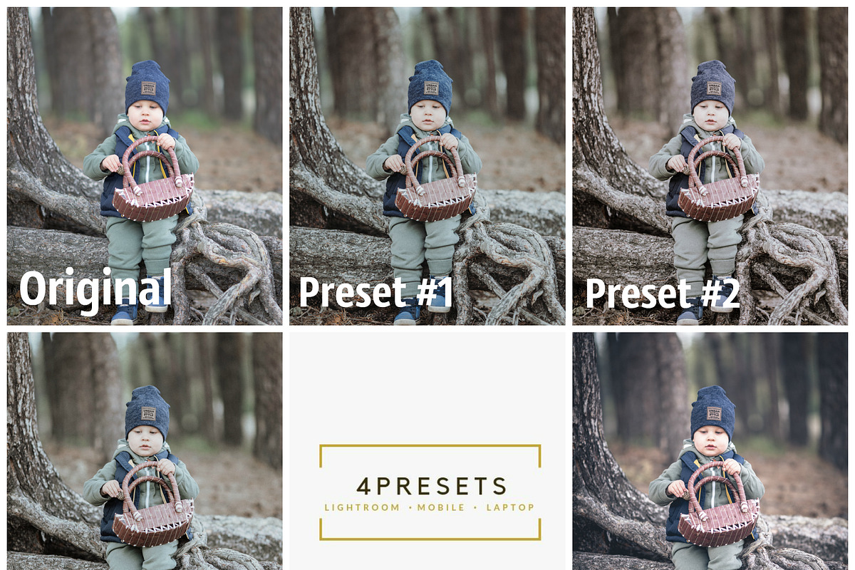 Mobile Lightroom Presets Gray tones, a Preset Add-On by 4presets (Photo 7 of 10)