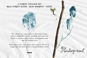 Leaf Imprints, Forest Scans & Paper, an Object Graphic by Purple (Thumbnail 3 of 20)