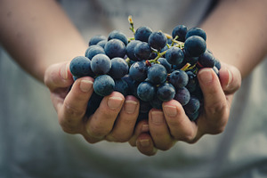 Woman holding grapes containing grapes, wine, and grape