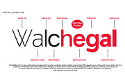 Elghita (120 Font Files), a Sans Serif Font by IM Studio (Thumbnail 6 of 11)