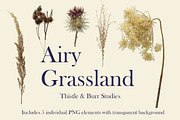 Airy Grassland — Thistle & Burr Stud, an Object Graphic by Aga Silva (Thumbnail 2 of 4)