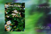 Floral Blurred Backgrounds, a Background Graphic by PaperJamLab (Thumbnail 7 of 13)