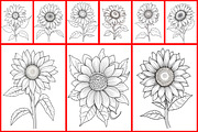 Sunflower Coloring Page, a Graphic by Forhadx5 (Thumbnail 6 of 7)