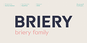 Briery, a Sans Serif Font by HeadFirst (Thumbnail 2 of 18)