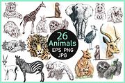 Wild Animals, an Animal Illustration by Ecaterina Sciuchina (Thumbnail 1 of 3)