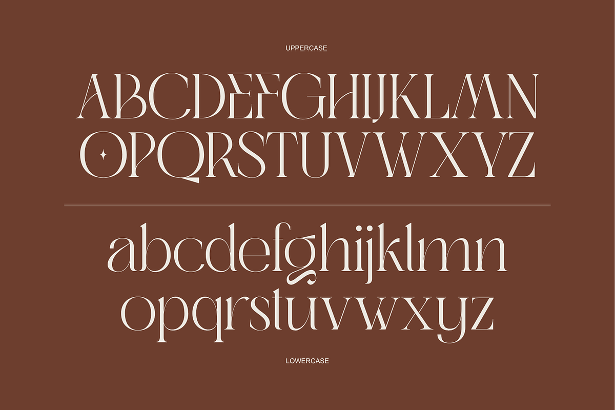 Abask - Modern Ligatures Font, a Serif Font by Nirmana Visual (Photo 2 of 12)