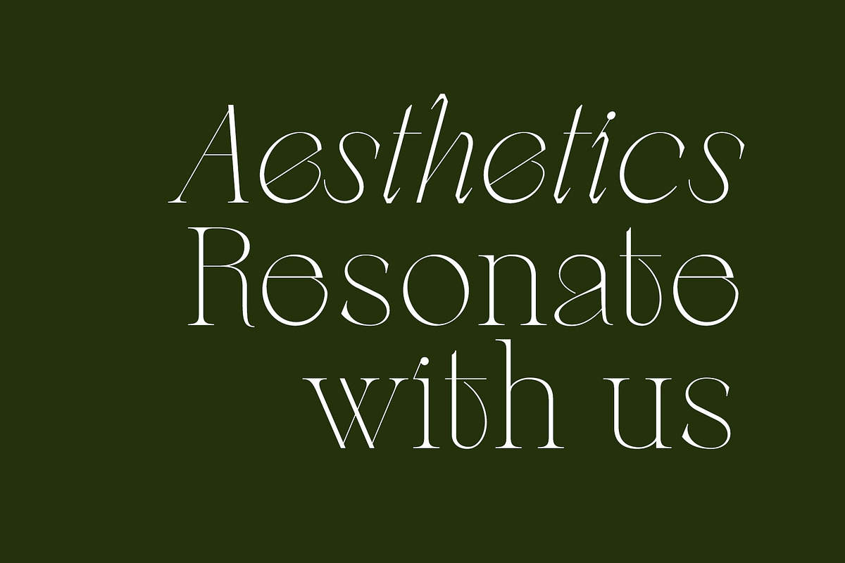 Berneray Serif Font Family, a Serif Font by Ryul Davidson (Photo 16 of 19)