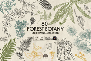 Forest Botany Line Art + Procreate