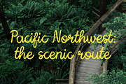 Bramble Delight Handwritten Script, a Handwritten Font by Dina Mae (Thumbnail 3 of 12)