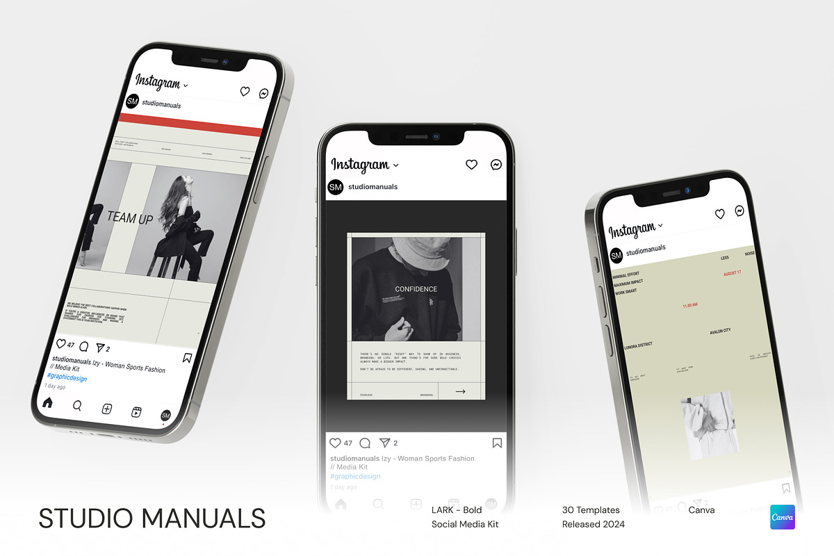 LARK - Bold Social Media Kit, a Social Media Template by Studio Manuals (Photo 6 of 8)