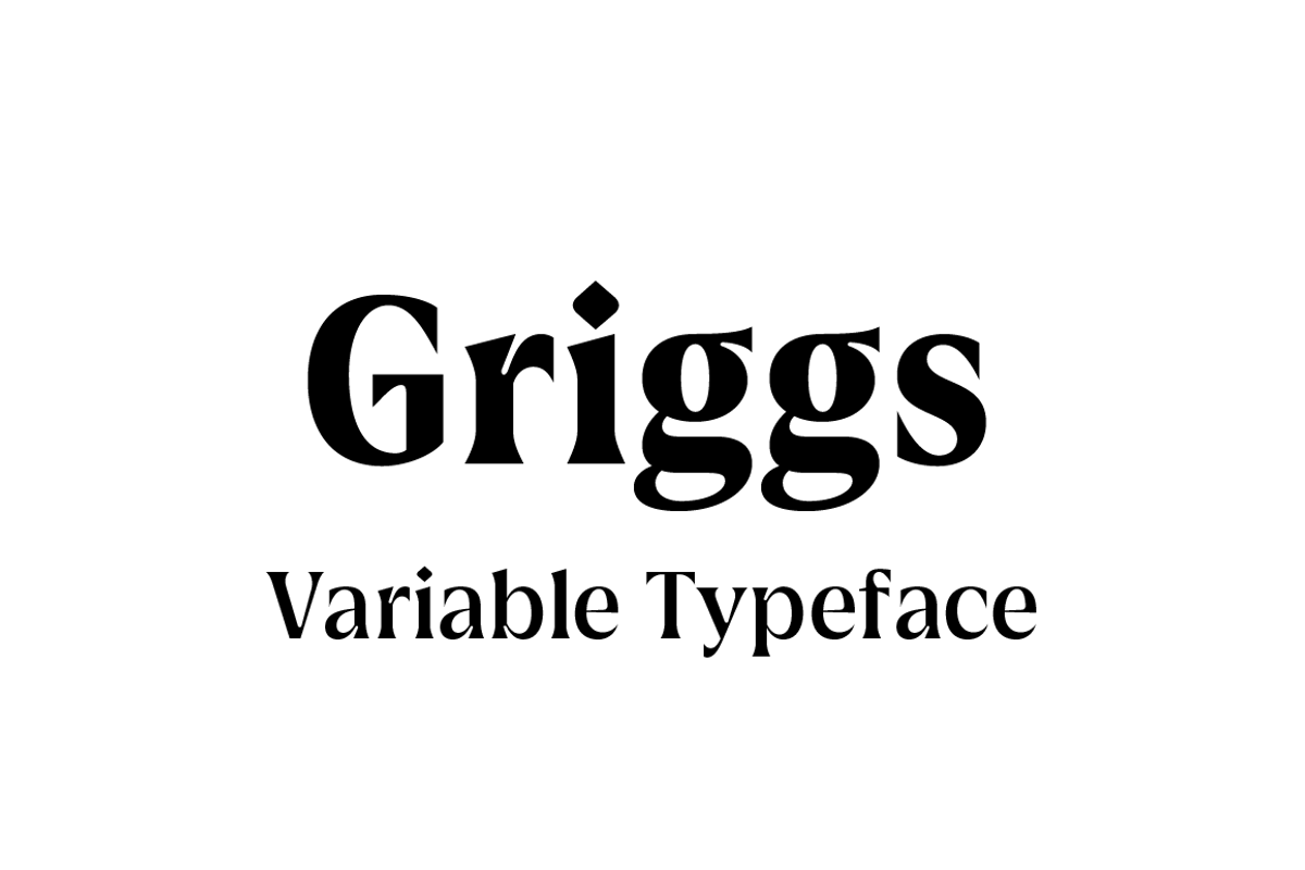 Griggs Variable Typeface, a Serif Font by Seniors (Photo 1 of 10)