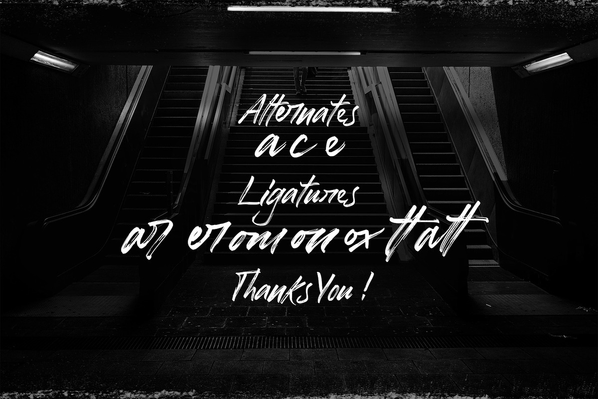 Honuzima - Handbrush Script Font, a Script Font by StringLabs (Photo 11 of 11)