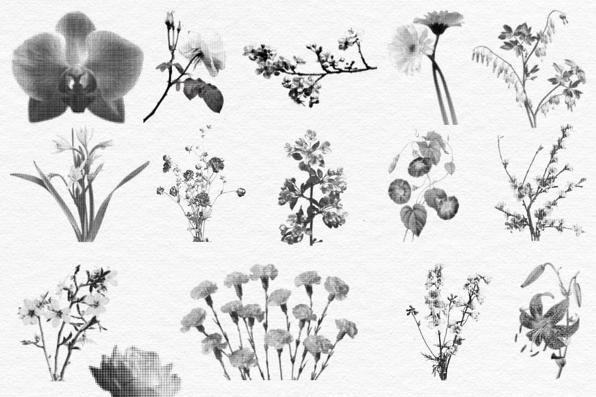 Floral Halftone & Ink PNG Overlays, an Object Graphic by alonahaidash (Photo 8 of 11)