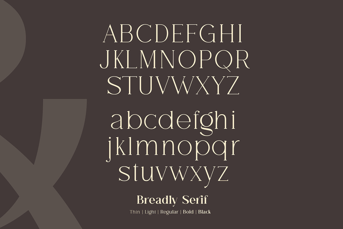 Breadley Serif, a Serif Font by Ardyanatypes (Photo 10 of 12)