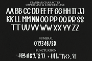 Unicorn, a Serif Font by FreshTypeINK (Thumbnail 5 of 8)