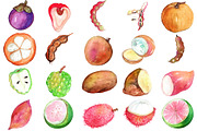 99 PHILIPPINE ICONS! Watercolor PNG, an Illustration by LilyBoo Clipart (Thumbnail 5 of 6)
