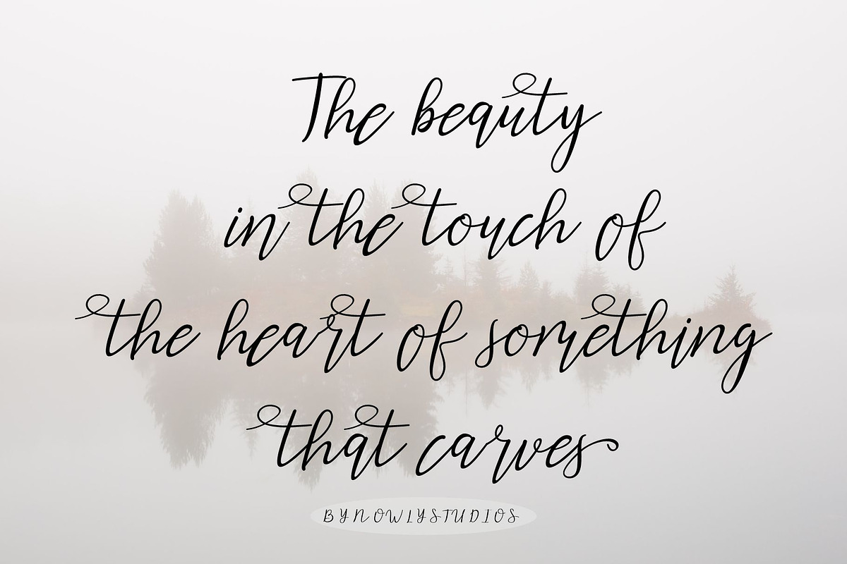 Caylia Script, a Script Font by Nowlystudios (Photo 5 of 8)