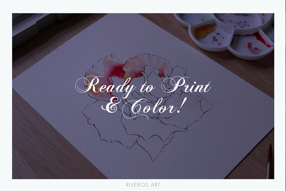 Line Floral Illustrations & Patterns, an Illustration by Riveros Illustration (Photo 6 of 11)