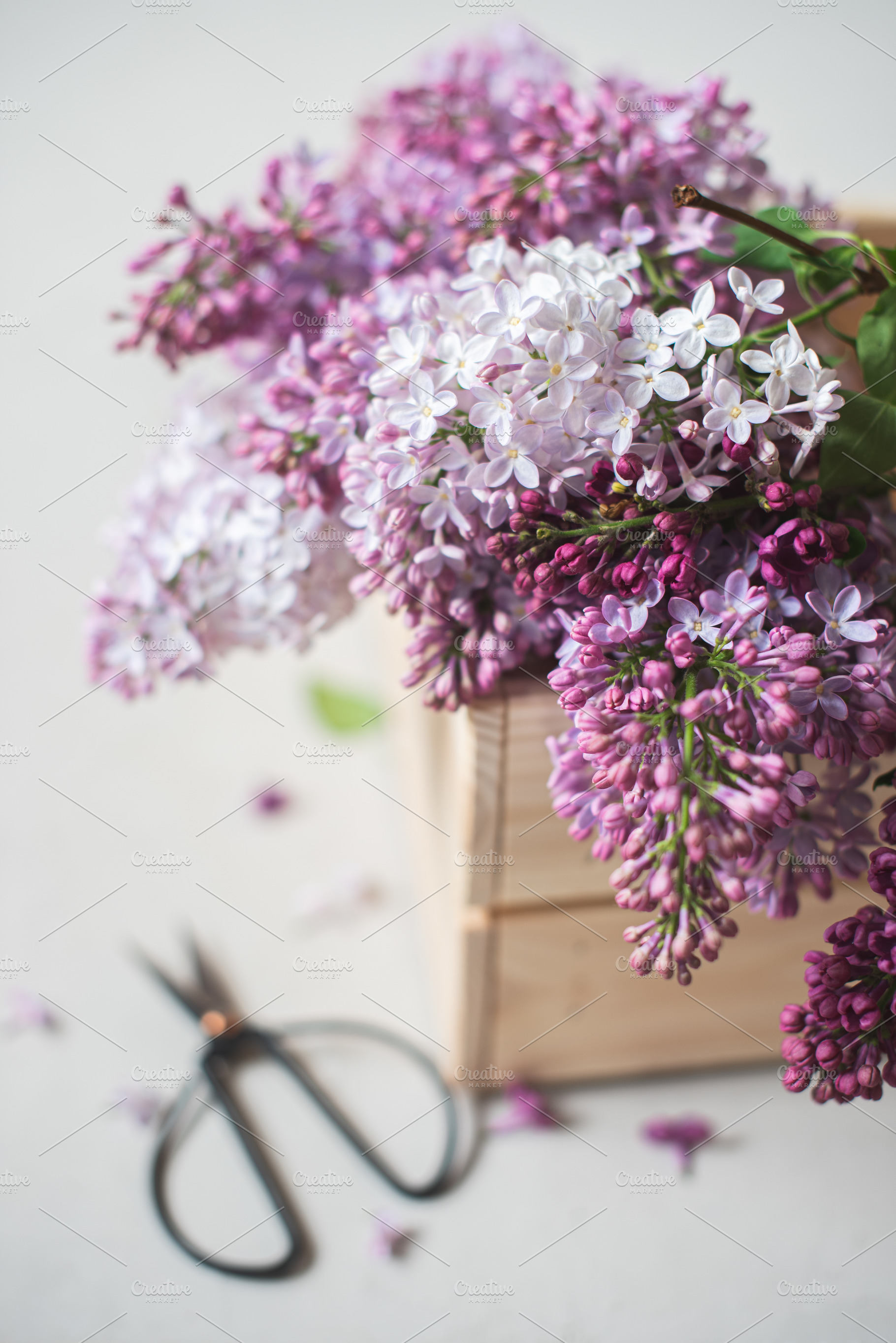 Bouquet of fresh purple lilac featuring bouquet, collect, and drawer, a Nature Photo by letterberry