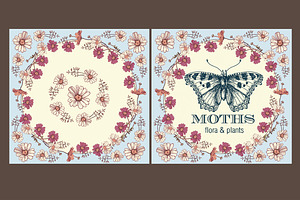 Set. Butterflies. Flowers. Card.