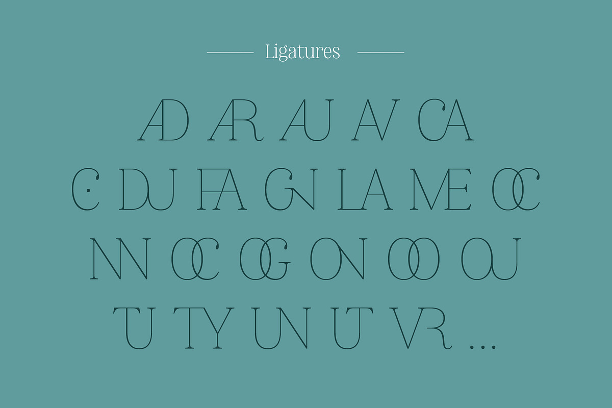 Nevoa Condensed Black, a Serif Font by OceaneM (Photo 4 of 7)