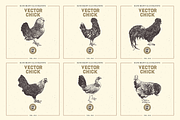 VECTOR CHICK HAND DRAWN BUNDLE VOL25, an Animal Illustration by pawellpi (Thumbnail 5 of 9)