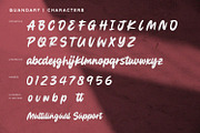Quandary - Bold Script, a Script Font by Alpaprana (Thumbnail 8 of 9)
