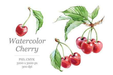 Watercolor Cherries