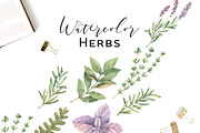 Floral bundle | Watercolor SALE, a Decorative Illustration by Kate Macate (Thumbnail 3 of 28)