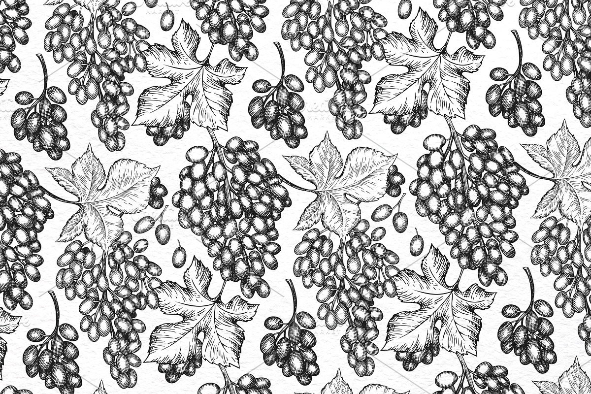 Grape Vector Collection, a Decorative Illustration by Lubov Illustrations Shop (Photo 5 of 5)